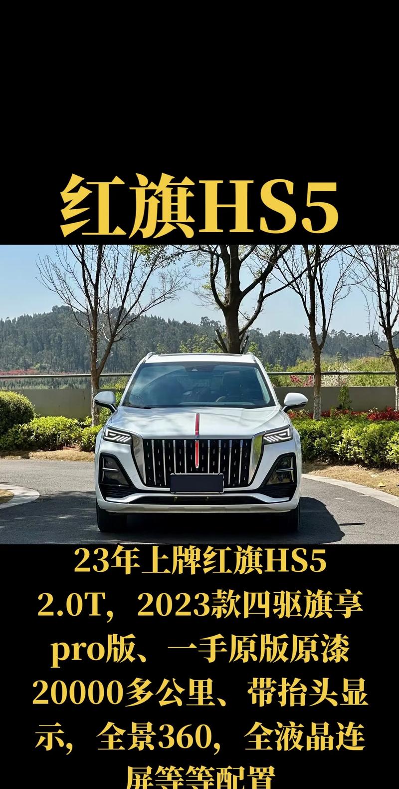 红旗新款suv报价与图片(红旗suv新款报价2021 sf)