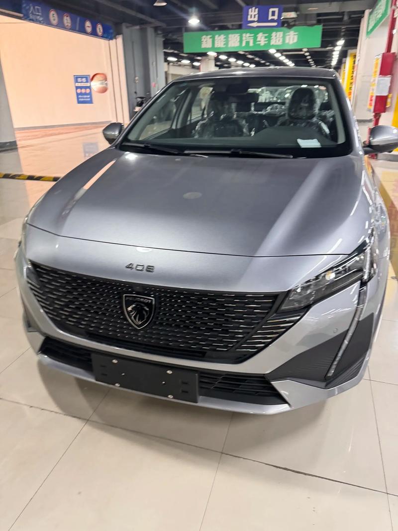 标志408十四大缺点／标志408到底怎样