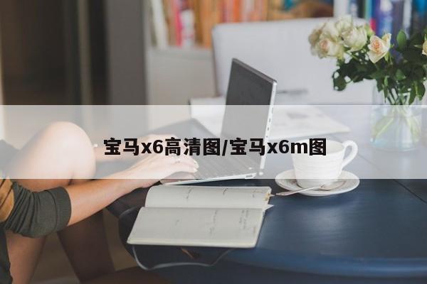 宝马x6高清图/宝马x6m图