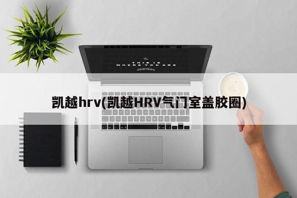 凯越hrv(凯越HRV气门室盖胶圈)